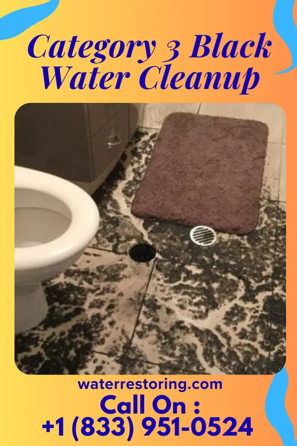 Category 3 Black Water Cleanup in Cedar Park, TX